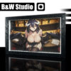 Albedo 3D Painting