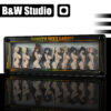 Naruto Sexy Ladies Card Collection