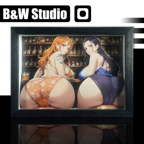 Nami&Robin 3D Painting