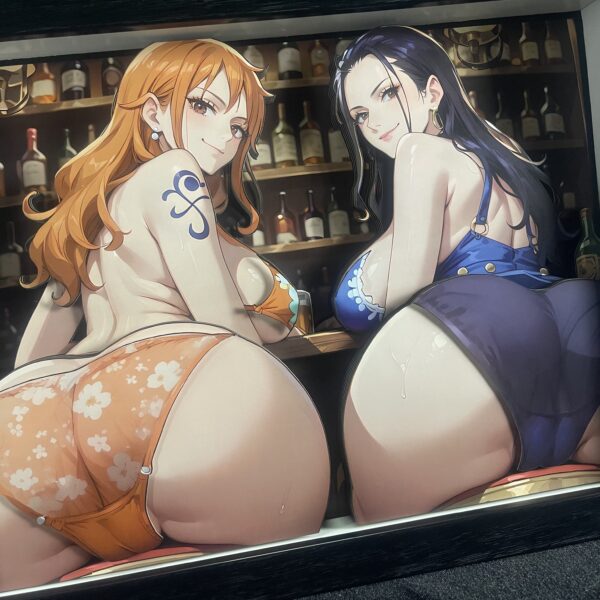 Nami&Robin 3D Painting