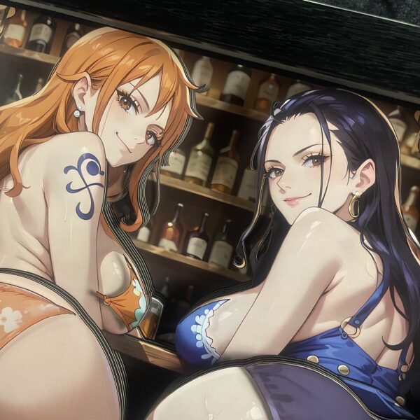 Nami&Robin 3D Painting